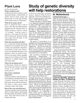 Plant Lore                                 Study of genetic diversity
by Thor Kommedahl
What is leatherwood?
Leatherwood is Dirca palustris in the
                                           will help restorations
                                           by Kristine Moncada, graduate
mezereum family, a small family of         student, Applied Plant Sciences           Dr. Mohlenbrock
shrubs with an acrid, tough, and           Program, University of Minnesota          continued from page 1
fibrous bark. It is the only member        This is an abstract of her talk at the    1984, for Natural History Magazine.
of this family native to Minnesota.        April 1, 2004, MNPS meeting.
                                                                                     These articles describe important
                                             Genetic diversity of native plants
What do its names mean?                    is an important biological property       natural areas in North America. Dr.
Dirca is named for Dirce, wife of          to study, particularly as it relates to   Mohlenbrock is best known for his
                                           restoration. By analyzing the             series of the Illustrated Flora of
Lycus, who after her brutal murder,
                                           genetics of a natural population, we      Illinois. The project was started in
changed into the fountain Dirce in                                                   1960, with the objective of
Thebes (Greece). Palustris means           are able to determine patterns of
                                           relatedness. These patterns give us       publishing a complete illustrated
“of swamps.” Another name is               clues of what plants are adapted to       account of every plant occurring in
wicopy, a Cree name for the inner          what sites. In restoration, we can        Illinois. To date, 16 volumes have
bark of basswood. Because thongs           then choose seeds from which area         been published or are in process.
were made from the bark, it was            or zone would be most appropriate         This remarkable series is extremely
called leatherwood.                        to that location.                         valuable to the Midwestern field
                                             The goal of restoration is to           botanist. He is currently working on
What does the plant look like?                                                       a three-volume work dealing with the
                                           establish self-sustaining populations
It is a yellowish, largely-branching       that have the capacity for future         Asteraceae of Illinois and a four-
shrub from 3 to 6 feet tall. The wood      adaptation. By discovering the            volume set of places to visit within
is white, soft, and brittle. The bark is   patterns of variation, we can then        the National Forest system.
remarkably tough and fibrous.              more closely emulate naturally               Since his retirement from SIU, Bob
Leaves are alternate and more or less      occurring populations to ensure long-     and Beverly travel. He teaches
elliptical. Note the jointed twigs.        term success for a restoration.           wetland plant identification courses
Flowers are honey yellow, pendant,           My research is funded by the            across the country. These classes
and give rise to clusters of 3-4 green,    Minnesota         Department         of   fill a void in what has become a
                                           Transportation to aid in developing       recent trend in the academic world,
yellowish, or reddish drupes, each         guidelines for seed collection for
with large seeds.                                                                    an absence of biological field
                                           their restoration projects. In this       courses. I first met Bob by taking
Where do the plants grow?                  project, I am studying the genetics       one of his wetland plant
In Minnesota, shrubs are found in          of four native species: big bluestem      identification courses in Chicago a
rich woods near streams, in springy        (Andropogon gerardii), purple             few years ago. He recently taught a
                                           prairie clover (Dalea purpurea),          field course in the Twin Cities,
woods, or in swamps; hence the             prairie cordgrass (Spartina
name palustris.                                                                      focusing on grasses, sedges, and
                                           pectinata), and Joe-pye weed
                                                                                     rushes, and he will be back again next
Does it have medicinal                     (Eupatorium maculatum). I have
                                           collected these species throughout        June to teach a class on wetland plant
properties?                                                                          identification.
                                           their range within Minnesota.
American Indians used the plant to
treat toothache and drank bark tea as      Through analyzing the variation at        Learn to identify plants in
a laxative. However, contact with
                                           the DNA level, we hope to find the        winter on Nov. 13 field trip
                                           patterns of natural diversity. We can       Jason Husveth will lead a winter
bark causes severe blisters and sores.     then be able to develop seed transfer     botany field trip at the Tamarack
The fruits, if eaten, cause violent        zones, which are geographical             Nature Center in White Bear Twp.,
vomiting, stupor, and vertigo.             regions in which individuals of a         Ramsey County, Saturday, Nov.13,
Does it have any practical uses?           native species can be transferred with    from 9 a.m. to noon. He will focus
                                           no negative effects on the vigor of       on the identification of wildflowers,
American Indians used the flexible         the population. It is important to        trees, and shrubs from persistent
shoots to make baskets and the bark        know what seed is best for a              winter characteristics. Register early
for rope, thongs, bowstrings, and fish     restoration project. It can determine     at jhusveth@ccesinc.com. Space is
lines. Deer and moose graze on             the success or failure of long-term       limited to 30 people. Details will
foliage and twigs.                         plant establishment.                      be posted at www.mnnps.org.
                                                                                                                          3
 