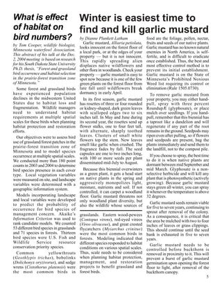 What is effect Winter is easiest time to
of habitat on  find and kill garlic mustard
bird numbers? by Dianne Plunkett Latham food are the foliage, pollen, nectar,
                                            Garlic mustard, Alliaria petiolata,    fruits and seeds of our native plants.
by Tom Cooper, wildlife biologist,
                                          looks innocent on the forest floor of    Garlic mustard has no known natural
Minnesota waterfowl Association.          a local park, or at the edges of your    enemies in North America, is self-
This abstract of his talk at the Dec.     property — but it is not innocent.       fertile, and is difficult to eradicate
2, 2004 meeting is based on research      This rapidly spreading alien             once established. Thus, the best and
for his South Dakota State University     displaces native wildflowers and         most effective control method is to
Ph.D. thesis, “Forest and grassland       other flora in woodlands. Check your     prevent its initial establishment.
bird occurrence and habitat selection     property — garlic mustard is easy to     Garlic mustard is on the State of
in the prairie-forest transition zone     spot now because it is one of the few    Minnesota’s Prohibited Noxious
of Minnesota.”                            green plants on the forest floor from    Weed list requiring its control or
  Some forest and grassland birds         late fall until wildflowers break        elimination (Rule 1505.0730).
have experienced population               dormancy in early April.                    To remove garlic mustard from
declines in the midwestern United           In its first season, garlic mustard    your property, you may either hand-
States due to habitat loss and            has rosettes of three or four rounded    pull, spray with three percent
fragmentation. Wildlife managers          or kidney-shaped, dark green leaves      RoundupÆ (glyphosate), or place
need to understand habitat                with scalloped edges two to six          mulch over seedlings. If you hand-
requirements at multiple spatial          inches tall. In May and June during      pull, remember that this biennial has
scales for these birds when planning      its second year, the rosettes send up    a taproot like a dandelion and will
habitat protection and restoration        flower stalks, one to four feet tall,    regenerate if any part of the root
efforts.                                  with alternate, sharply toothed          remains in the ground. Seedpods may
  Our objectives were to assess bird      leaves. Clusters of small white          ripen even after pulling, so if flowers
use of grassland/forest patches in the    flowers top the stem. New leaves         and seedpods are present, bag the
prairie-forest transition zone of         smell like garlic when crushed. The      plants immediately and send them to
                                          fragrance fades by fall. The seed        the landfill, not to the compost pile.
Minnesota and to model species
                                          capsules are one to two inches long,        If you choose to spray, the best time
occurrence at multiple spatial scales.    with 100 or more seeds per plant
We conducted more than 180 point                                                   to do it is when native plants are
                                          disseminated mid-July to August.         dormant between mid September and
counts in 2003 and 2004 to determine
bird species presence in each cover         Because this biennial overwinters      mid March. Glyphosate is a non-
type. Local vegetation variables          as a green plant, it gets a head start   selective herbicide and will kill any
were measured on site, and landscape      on native plants in the spring and       plant that is photosynthetic (actively
variables were determined with a          aggressively monopolizes light,          growing). Because garlic mustard
geographic information system.            moisture, nutrients and soil. If not     stays green all winter, you can spray
                                          controlled, it can carpet a woodland     it whenever the temperature is above
  Models incorporating landscape          floor. Garlic mustard threatens not      32 degrees.
and local variables were developed        only woodland plant diversity, but
to predict the probability of                                                         Garlic mustard seeds remain viable
                                          also the wildlife whose sources of       for five to seven years, continuing to
occurrence for bird species of
management concern. Akaike’s                                                       sprout after removal of the colony.
                                          grasslands. Eastern wood-pewees          As a consequence, it is critical that
Information Criterion was used to         (Contopus virens), red-eyed vireos       the area be mulched with two to four
rank candidate models. We counted         (Vireo olivaceus), and great crested     inches of leaves or grass clippings.
53 different bird species in grasslands   flycatchers (Myiarchus crinitus)         This should continue until the seed
and 71 species in forests. Thirteen       were the most common birds in            bank is exhausted in five to seven
bird species were U.S. Fish and           forests. Modeling indicated that         years.
Wildlife       Service       resource     different species responded to habitat
conservation priority species.                                                        Garlic mustard needs to be
                                          conditions on various spatial scales.    controlled before buckthorn is
  Common              yellowthroats       Thus, scale needs to be considered       removed in proximity to it. This will
(Geothlypis trichas), bobolinks           when planning habitat protection,        prevent a burst of garlic mustard
(Dolichonyx oryzivorus), and sedge        management, and restoration              germination upon opening the forest
wrens (Cistothorus platensis) were        projects to benefit grassland and        floor to light, after removal of the
the most common birds in                  forest birds.                            buckthorn canopy.
                                                                                                                          5
 