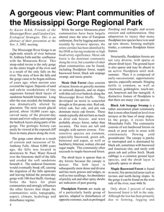 A gorgeous view: Plant communities of
the Mississippi Gorge Regional Park
by Karen Schik, Friends of the            While the native Minnesota plant       flooding and drought, and severe
Mississippi River; and Carolyn Carr,    communities have been largely            erosion and sedimentation. One
Ecological Strategies. This is an       altered since the time of European       adaptation to injury that many
abstract of their presention at the     settlement, first by logging and more    floodplain tree species have is to send
Nov. 3, 2005, meeting.                  recently by invasive species, the        up new shoots, forming multiple
                                        entire corridor has been identified by   trunks, a common floodplain forest
  The Mississippi River Gorge is an     the DNR as having moderate or high       feature.
eight-mile stretch of river between     biodiversity significance. Mesic oak
St. Anthony Falls and the confluence                                               Structurally, floodplain forests are
                                        forest is the dominant community         not very diverse, with sparse or
with the Minnesota River. This          along the river, but a number of other
steep-sided ravine is the only gorge                                             absent shrub layer. The ground layer
                                        plant communities can be found,          is also sparse and may be absent in
on the entire length of the river and   including floodplain forest, maple
is a result of the only falls on the                                             an active floodplain until mid-
                                        basswood forest, black ash seepage       summer. Then it is composed of
river. The story of how the falls and   swamp, and mesic prairie.
the gorge came to be began millions                                              early-successional, opportunistic
of years ago, when ancient seas           Mesic Oak Forest class consists        species, especially annuals. Stinging
covered the region. Deposits of sand    of mesic forests on gravelly moraine     nettle is common, as well as
and calcite exoskeletons of tiny        or outwash deposits, and on slopes       clearweed, goldenglow, touch-me-
organisms formed thick layers of        with thin soil over bedrock along the    not, honewort and bur marigold. A
sandstone beneath limestone. Long       Mississippi River bluffs. They           distinctive feature of floodplain is
after the seas receded, the landscape   developed on moist to somewhat           that there are many vine species.
was dramatically altered by             drought or fire-prone sites. Red oak,   Black Ash Seepage Swamp is a
glaciation. The most recent glacial     white oak, bur oak, and pin oak       rather uncommon plant community
period, about 10,000 years ago,         dominate mesic oak forests. These     that is most often found on level river
carved many of the present-day          stands typically did not burn as much terraces at the base of steep slopes.
stream and river valleys and exposed    as drier oak forests and were         In the gorge, it exists below
the bedrock layers along parts of the   probably always forest, rather than   Minnehaha Falls. The community
gorge. The geologic history can         savanna. The trees are tall and       consists of wet hardwood forests on
easily be viewed at the exposed cliff   straight, with narrow crowns. Fire-   muck or peat soils in areas with
faces in many places along the river.   sensitive species are common,         continuously         flowing      cold
                                        especially basswood, green ash,       groundwater. The canopy is patchy
  The gorge came about as a result
                                        butternut and aspen, as well as       to interrupted and is dominated by
of erosion and recession of St.
                                        hackberry, bitternut, walnut, elm and black ash, sometimes with basswood
Anthony Falls. About 8,000 years
                                        sugar maple. This community often     and American elm, and rarely with
ago, the falls was located in
                                        succeeds to maple-basswood forest.    green ash and yellow birch. Skunk
downtown St. Paul. Water flowed
over the limestone shelf of the falls     The shrub layer is sparser than in cabbage is a common ground layer
and eroded the soft sandstone           dry forests because the canopy is species, and the shrub layer is
beneath it. The undercut limestone      denser. The forb layer is typically sparse or absent.
would eventually break off, causing     subsequently more dense and diverse     Maple Basswood Forest is found
the migration of the falls upstream     and has more grasses and sedges, as in moist, fire-protected areas such as
and leaving behind the present-day      well as tree seedlings. An abundance ravines and north-facing slopes. In
gorge with 100-foot bluffs. Geology     of prickly ash and other spiny shrubs the gorge it can be found on the west
forms the basis for plant               are indicators of past grazing.       side of the river, near 44th St.
communities and strongly influences
the other factors that shape the          Floodplain Forests are made up      Only about 2 percent of maple
communities: soils, topography,         of a particularly hardy group of basswood forest is left in the state.
aspect, climate, hydrology and          species, adapted to disturbances of Although the loss has been primarily
disturbance regime.                     opposite extremes, such as prolonged due to farming, logging and
4
 