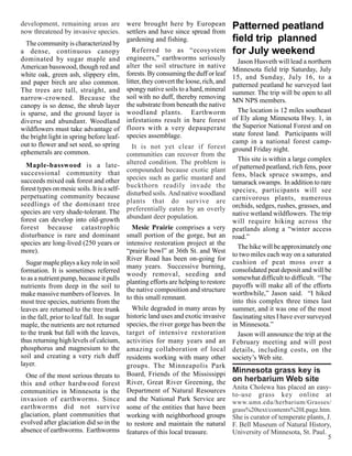 development, remaining areas are were brought here by European                      Patterned peatland
now threatened by invasive species. settlers and have since spread from
  The community is characterized by
                                           gardening and fishing.                   field trip planned
a dense, continuous canopy                   Referred to as “ecosystem              for July weekend
dominated by sugar maple and engineers,” earthworms seriously                         Jason Husveth will lead a northern
American basswood, though red and alter the soil structure in native                Minnesota field trip Saturday, July
white oak, green ash, slippery elm, forests. By consuming the duff or leaf          15, and Sunday, July 16, to a
and paper birch are also common. litter, they convert the loose, rich, and          patterned peatland he surveyed last
The trees are tall, straight, and spongy native soils to a hard, mineral            summer. The trip will be open to all
narrow-crowned. Because the soil with no duff, thereby removing                     MN NPS members.
canopy is so dense, the shrub layer the substrate from beneath the native
is sparse, and the ground layer is woodland plants. Earthworm                         The location is 12 miles southeast
diverse and abundant. Woodland infestations result in bare forest                   of Ely along Minnesota Hwy. 1, in
wildflowers must take advantage of floors with a very depauperate                   the Superior National Forest and on
the bright light in spring before leaf- species assemblage.                         state forest land. Participants will
out to flower and set seed, so spring                                               camp in a national forest camp-
                                             It is not yet clear if forest          ground Friday night.
ephemerals are common.                     communities can recover from the
                                                                                      This site is within a large complex
  Maple-basswood is a late- altered condition. The problem is                       of patterned peatland, rich fens, poor
successional community that compounded because exotic plant                         fens, black spruce swamps, and
succeeds mixed oak forest and other species such as garlic mustard and              tamarack swamps. In addition to rare
forest types on mesic soils. It is a self- buckthorn readily invade the             species, participants will see
perpetuating community because disturbed soils. And native woodland                 carnivorous plants, numerous
seedlings of the dominant tree plants that do survive are                           orchids, sedges, rushes, grasses, and
species are very shade-tolerant. The preferentially eaten by an overly              native wetland wildflowers. The trip
forest can develop into old-growth abundant deer population.                        will require hiking across the
forest because catastrophic                 Mesic Prairie comprises a very          peatlands along a “winter access
disturbance is rare and dominant          small portion of the gorge, but an        road.”
species are long-lived (250 years or      intensive restoration project at the
                                                                                      The hike will be approximately one
more).                                    “prairie bowl” at 36th St. and West
                                                                                    to two miles each way on a saturated
                                          River Road has been on-going for
  Sugar maple plays a key role in soil                                              cushion of peat moss over a
                                          many years. Successive burning,
formation. It is sometimes referred                                                 consolidated peat deposit and will be
                                          woody removal, seeding and
to as a nutrient pump, because it pulls                                             somewhat difficult to difficult. “The
                                          planting efforts are helping to restore
nutrients from deep in the soil to                                                  payoffs will make all of the efforts
                                          the native composition and structure
make massive numbers of leaves. In                                                  worthwhile,” Jason said. “I hiked
                                          to this small remnant.
most tree species, nutrients from the                                               into this complex three times last
leaves are returned to the tree trunk       While degraded in many areas by         summer, and it was one of the most
in the fall, prior to leaf fall. In sugar historic land uses and exotic invasive    fascinating sites I have ever surveyed
maple, the nutrients are not returned species, the river gorge has been the         in Minnesota.”
to the trunk but fall with the leaves, target of intensive restoration                Jason will announce the trip at the
thus returning high levels of calcium, activities for many years and an             February meeting and will post
phosphorus and magnesium to the amazing collaboration of local                      details, including costs, on the
soil and creating a very rich duff residents working with many other                society’s Web site.
layer.                                    groups. The Minneapolis Park
                                                                                    Minnesota grass key is
  One of the most serious threats to Board, Friends of the Mississippi
                                                                                    on herbarium Web site
this and other hardwood forest River, Great River Greening, the
                                                                                    Anita Cholewa has placed an easy-
communities in Minnesota is the Department of Natural Resources                     to-use grass key online at
invasion of earthworms. Since and the National Park Service are                     www.umn.edu/herbarium/Grasses/
earthworms did not survive some of the entities that have been                      grass%20text/contents%20Lpage.htm.
glaciation, plant communities that working with neighborhood groups                 She is curator of temperate plants, J.
evolved after glaciation did so in the to restore and maintain the natural          F. Bell Museum of Natural History,
absence of earthworms. Earthworms features of this local treasure.                  University of Minnesota, St. Paul.
                                                                                                                        5
 