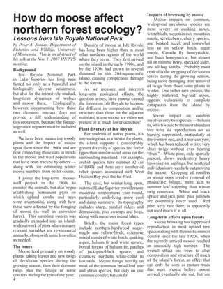 How do moose affect                                                                  Impacts of browsing by moose
                                                                                           Moose impacts on common,

northern forest ecology?
                                                                                     widespread deciduous species are
                                                                                     most severe on quaking aspen,
                                                                                     white birch, mountain ash, mountain
Lessons from Isle Royale National Park                                               maple, serviceberry, cherry species,
by Peter A. Jordan, Department of           Density of moose at Isle Royale          and beaked hazel; and somewhat
Fisheries and Wildlife, University      has long been higher than in most            less so on yellow birch, sugar
of Minnesota. This is an abstract of    other northern regions of the world          maple, Canada fly honeysuckle,
his talk at the Nov. 1, 2007 MN NPS     where they occur. They first arrived         and bush honeysuckle; but almost
meeting.                                on the island in the early 1900s, and        nil on thimble berry, speckled alder,
                                        by the 1920s had grown to several            and all bog shrubs. Probably most
Background                                                                           critical is the stripping of deciduous
   Isle Royale National Park            thousand on this 204-square-mile
                                        island, causing conspicuous damage           leaves during the growing season,
in Lake Superior has long been                                                       being more damaging than removal
famed not only as a beautiful and       to the forests.
                                                                                     of twigs from those same plants in
biologically diverse wilderness,            As we measure and interpret              winter. One rather rare species, the
but also for the intensively studied,   long-term ecological effects, the            highly preferred, big-leaf aspen,
long-term dynamics of wolves            question arises, have moose caused           appears vulnerable to complete
and moose there. Ecologically,          the forests on Isle Royale to become         extirpation from the island by
however, documenting how these          far different in composition and/or          moose.
two elements interact does not          structure than those on the adjacent
provide a full understanding of         mainland where moose are either not               Severe impact on conifers
this ecosystem, because the forage-     present or at much lower densities?          involves only two species — balsam
vegetation segment must be included                                                  fir, which would be the most abundant
                                        Plant diversity at Isle Royale               tree were its reproduction not so
as well.
                                            For students of native plants, it’s      heavily suppressed, particularly at
   We have been measuring woody         interesting that, as a habitat for plants,   the western end, and American yew,
plants and the impact of moose          the island supports a considerably           which has been reduced to tiny, very
upon them since the 1960s and are       greater diversity of species and forest      short twigs without ever bearing
now connecting those data to trends     types than similar-sized areas on the        “fruit.” White pine, only sparsely
in the moose and wolf populations       surrounding mainland. For example,           present, shows moderately heavy
that have been tracked by others —      orchid species here number 32 (as            browsing on saplings, but scattered
along with our estimating winter        of 1993), and there are a number of          individuals are regularly outgrowing
moose numbers from pellet counts.       relict species associated with West          the moose. Cropping of conifers
   I joined the long-term moose-        Hudson Bay plus the far West.                in winter does involve removal of
wolf project in the 1960s to               The cold, but winter-long open,           productive foliage, more akin to
monitor the animals, but also began     waters of Lake Superior provide more         summer leaf stripping than winter
establishing permanent plots on         moderate temperatures year round,            twig removals. White and black
which upland shrubs and trees           particularly underlying more cool            spruce and jack pine, plus junipers
were inventoried, along with how        and damp summers. Its topography             are essentially never used. Red
these were affected by the foraging     includes sharp, parallel ridges and          pine, very rare there, is apparently
of moose (as well as snowshoe           depressions, plus swamps and bogs,           not used much if at all.
hares). This sampling system was        along with numerous inland lakes.     Long-term effects upon forests
gradually expanded into an island-                                                Moose browsing has suppressed
                                           Briefly, the major forest types
wide network of plots wherein many                                            reproduction in most upland tree
                                        include northern-hardwood sugar-
relevant variables are re-measured
                                        maple and yellow-birch; extensive species along with the most common
annually, along with some less-often
                                        mixed stands of white birch, quaking conifer since the late 1920s, when
as needed.
                                        aspen, balsam fir and white spruce; the recently arrived moose reached
The issues                              boreal forests of balsam fir; patches an unusually high number. The
   Moose feed primarily on woody        of jack-pine/black spruce; and overall effect has been to alter
plants, taking leaves and new twigs     extensive northern white-cedar in composition and structure of much
of deciduous species during the         lowlands. Moose forage heavily on of the island’s forest, an effect that
growing season, then their dormant      most of the common broad-leaf tree can only be seen as mature trees
twigs plus the foliage of some          and shrub species, but only on one that were present before moose
conifers during the rest of the year.   common conifer, balsam fir.           arrived eventually die out, but are
4
 