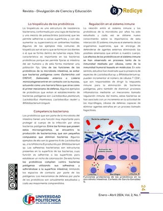 Revista - Divulgación de Ciencia y Educación
Enero – Abril 2024, Vol. 2, No. 1
24
La biopelícula de los probióticos
La biopelícula es una estructura de resistencia
bacteriana, conformada por una capa de bacterias
y una mezcla de polisacáridos (azúcares) que les
permite adherirse a varias superficies, y con ello
aumentar su supervivencia en ambientes hostiles.
Algunos de los ejemplos más comunes de
biopelícula son el sarro que se forma en los dientes
o el que se forma dentro de tuberías viejas. Esta
característica es importante en las bacterias
probióticas porque les permite fijarse al intestino
del ser humano y de esta forma mantener una
población fija. Una de las funciones de los
probióticos de la microbiota intestinal, es evitar
que bacterias patógenas como Escherichia coli
O157:H7, Salmonella enterica o Listeria
monocytogenes entren en contacto con la mucosa,
actuando como una barrera física que sirve como
el primer mecanismo de defensa. Algunos ejemplos
de probióticos que evitan el establecimiento de
bacterias patógenas son Lactobacillus plantarum,
Lactobacillus rhamnosus, Lactobacillus reuteri y
Bifidobacterium longum.
Competencia bacteriana
Los probióticos que son parte de la microbiota del
intestino tienen una función muy importante para
proteger al cuerpo de la infección por otras
bacterias patógenas. Entre las formas que poseen
estos microorganismos, se encuentra la
producción de bacteriocinas, que son pequeños
compuestos que eliminan bacterias. Algunos
ejemplos de ello son la gaserina A de Lactobacillus
sp., o la bifidocina B producida por Bifidobacterium
sp. Las adhesinas bacterianas son estructuras
presentes en la superficie de las bacterias, cuya
función es adherirse a las superficies para
establecer un nicho de colonización. De esta forma
los probióticos compiten contra bacterias
patógenas utilizando sus adhesinas y
adhiriéndose a la superficie intestinal, limitando
los espacios de contacto por parte de los
patógenos. Los mecanismos de defensa por parte
de los probióticos son actualmente estudiados y
cada vez mayormente comprendidos.
Regulación en el sistema inmune
La relación entre el sistema inmune y los
probióticos de la microbiota por años ha sido
estudiada y cada vez se obtiene nuevo
conocimiento sobre la importancia de esta
interacción. El sistema inmune es el elemento de los
organismos superiores, que se encarga de
defenderse de agentes externos eliminando las
posibles amenazas que entren a nuestro cuerpo.
Los efectos de los probióticos en el sistema inmune
se han observado en procesos tanto de la
inmunidad mediada por células, como de la
inmunidad humoral basada en moléculas. En este
sentido, estudios han mostrado que la presencia de
especies de Lactobacillus sp. y Bifidobacterium sp.
pueden incrementar el número de células T CD4+
,
que son responsables de dirigir la respuesta
inmune para la eliminación de bacterias
patógenas, pero también de disminuir procesos
inflamatorios mediante un mecanismo llamado
regulación inmune. Así mismo, estas bacterias se
han asociado con un incremento en la actividad de
los macrófagos, células de defensa capaces de
eliminar agentes extraños en un proceso llamado
fagocitosis.
Funciones protectoras de los probióticos en la
microbiota intestinal. Cortesía de García-González
G.
 