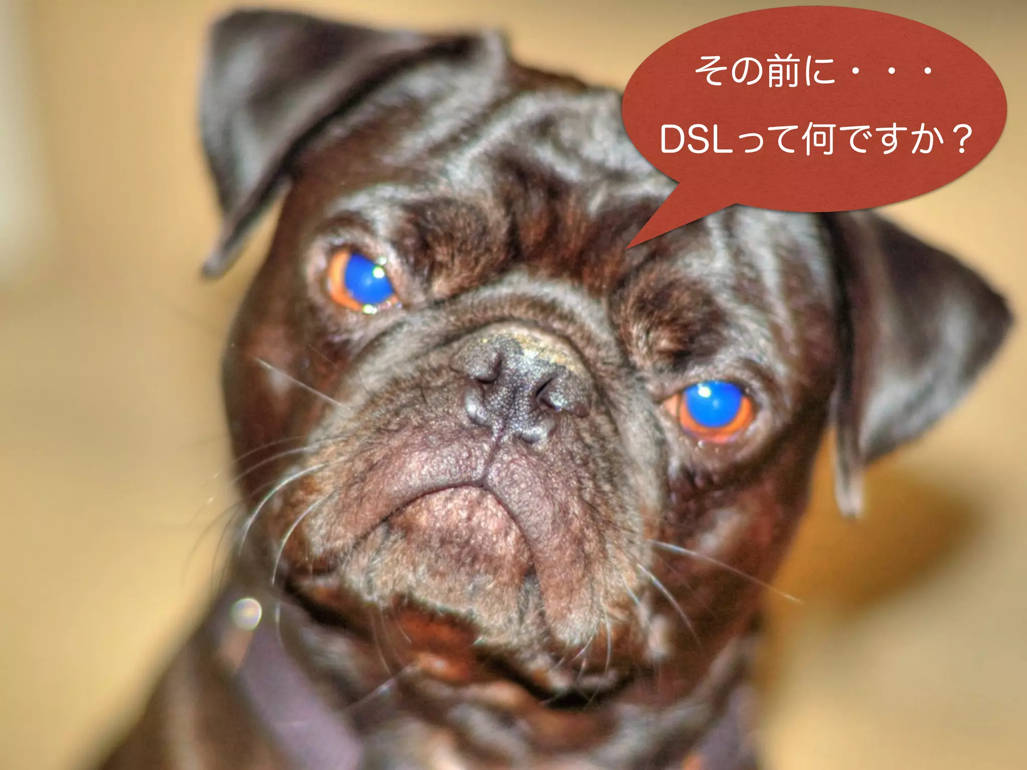 ４ー１）DSLとは
ドメイン固有言語
(domain-speciﬁc language：DSL）
・特定のタスク向けに設計されたコンピュータ言語。
どういうこと？？？
 