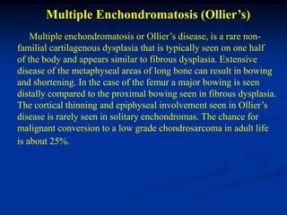 Multiple Enchondromatosis (Ollier’s)
    Multiple enchondromatosis or Ollier’s disease, is a rare non-
familial cartilagenous dysplasia that is typically seen on one half
of the body and appears similar to fibrous dysplasia. Extensive
disease of the metaphyseal areas of long bone can result in bowing
and shortening. In the case of the femur a major bowing is seen
distally compared to the proximal bowing seen in fibrous dysplasia.
The cortical thinning and epiphyseal involvement seen in Ollier’s
disease is rarely seen in solitary enchondromas. The chance for
malignant conversion to a low grade chondrosarcoma in adult life
is about 25%.
 
