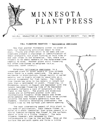 Fall 1988 Minnesota Plant Press