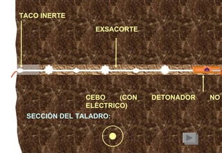 SECCIÓN DEL TALADRO: TACO INERTE CEBO (CON DETONADOR NO ELÉCTRICO) EXSACORTE 