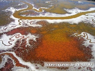 Sobre lagunas de sal, EEUU