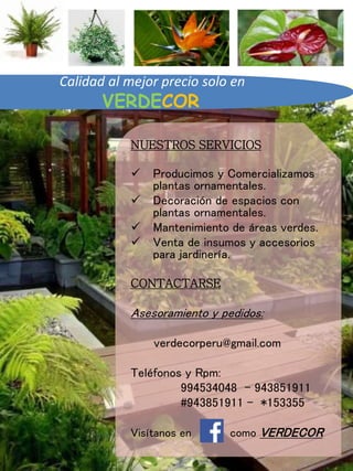 NUESTROS SERVICIOS
 Producimos y Comercializamos
plantas ornamentales.
 Decoración de espacios con
plantas ornamentales.
 Mantenimiento de áreas verdes.
 Venta de insumos y accesorios
para jardinería.
CONTACTARSE
Asesoramiento y pedidos:
verdecorperu@gmail.com
Teléfonos y Rpm:
994534048 - 943851911
#943851911 - *153355
Visítanos en como VERDECOR
Calidad al mejor precio solo en
VERDECOR
 