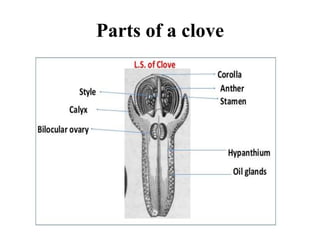 Volatileoilandfixedoilcontaningcrudedrugs 201130141351 1 pdf