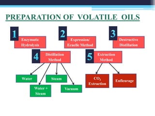 Eucelle Method Volatile oils | PPTX