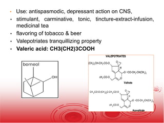 • Use: antispasmodic, depressant action on CNS,
• stimulant, carminative, tonic, tincture-extract-infusion,
medicinal tea
• flavoring of tobacco & beer
• Valepotriates tranquillizing property
• Valeric acid: CH3(CH2)3COOH
 