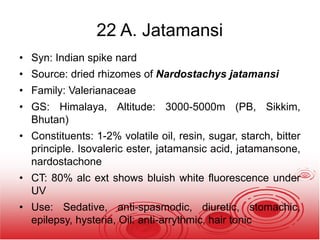 22 A. Jatamansi
• Syn: Indian spike nard
• Source: dried rhizomes of Nardostachys jatamansi
• Family: Valerianaceae
• GS: Himalaya, Altitude: 3000-5000m (PB, Sikkim,
Bhutan)
• Constituents: 1-2% volatile oil, resin, sugar, starch, bitter
principle. Isovaleric ester, jatamansic acid, jatamansone,
nardostachone
• CT: 80% alc ext shows bluish white fluorescence under
UV
• Use: Sedative, anti-spasmodic, diuretic, stomachic,
epilepsy, hysteria, Oil: anti-arrythmic, hair tonic
 