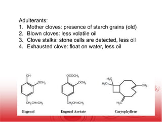 Adulterants:
1. Mother cloves: presence of starch grains (old)
2. Blown cloves: less volatile oil
3. Clove stalks: stone cells are detected, less oil
4. Exhausted clove: float on water, less oil
 