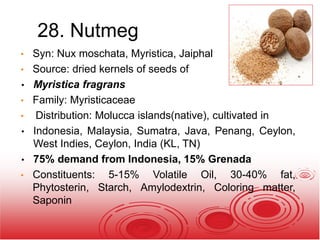 28. Nutmeg
• Syn: Nux moschata, Myristica, Jaiphal
• Source: dried kernels of seeds of
• Myristica fragrans
• Family: Myristicaceae
• Distribution: Molucca islands(native), cultivated in
• Indonesia, Malaysia, Sumatra, Java, Penang, Ceylon,
West Indies, Ceylon, India (KL, TN)
• 75% demand from Indonesia, 15% Grenada
• Constituents: 5-15% Volatile Oil, 30-40% fat,
Phytosterin, Starch, Amylodextrin, Coloring matter,
Saponin
 