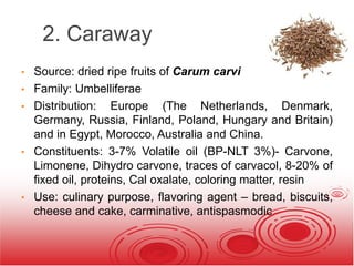 2. Caraway
• Source: dried ripe fruits of Carum carvi
• Family: Umbelliferae
• Distribution: Europe (The Netherlands, Denmark,
Germany, Russia, Finland, Poland, Hungary and Britain)
and in Egypt, Morocco, Australia and China.
• Constituents: 3-7% Volatile oil (BP-NLT 3%)- Carvone,
Limonene, Dihydro carvone, traces of carvacol, 8-20% of
fixed oil, proteins, Cal oxalate, coloring matter, resin
• Use: culinary purpose, flavoring agent – bread, biscuits,
cheese and cake, carminative, antispasmodic
 