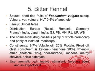 5. Bitter Fennel
• Source: dried ripe fruits of Foeniculum vulgare subsp.
Vulgare, var. vulgare, NLT 0.6% of anethole
• Family: Umbelliferae
• Distribution: Europe (Russia, Romania, Germany,
France), India, Japan. India: GJ, PB, MH, RJ, UP, WB
- The commercial drug consists partly of whole cremocarp
and partly of isolated mericarps.
• Constituents: 3-7% Volatile oil, 20% Protein, Fixed oil,
chief constituent is ketone (Fenchone 20%), Phenolic
ether (anethole 50%), phellandrene, limonene, methyl
chavicol, anisic aldehyde
• Use: aromatic, carminative, stimulant, flavoring agent
and as expectorant
 