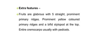 Primaryb Rudge's Volatile oils | PPTX