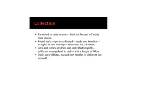 Volatile Oils.pptx