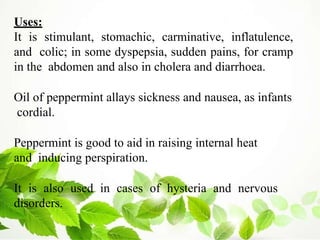 Uses:
It is stimulant, stomachic, carminative, inflatulence,
and colic; in some dyspepsia, sudden pains, for cramp
in the abdomen and also in cholera and diarrhoea.
Oil of peppermint allays sickness and nausea, as infants
cordial.
Peppermint is good to aid in raising internal heat
and inducing perspiration.
It is also used in cases of hysteria and nervous
disorders.
 