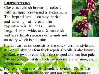Characterisitics
Clove is reddish-brown in colour,
with an upper crownand a hypanthium.
The hypanthium issub-cylindrical
and tapering at the end. The
hypanthium is 10 to13 mm
long, 4 mm wide, and 2 mm thick
and has schizolysigenous oil glands and
an ovary which is bilocular.
The Crown region consists of the calyx, corolla, style and
stamens. Calyx has four thick sepals. Corolla is also known
as head, crown or cap; it is doine shaped and has four pale
yellow coloured petals which are imbricate, immature, and
membranous.
The ovary consists of abundant ovules. Clove has
 