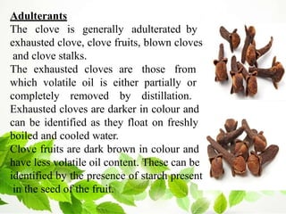 Adulterants
The clove is generally adulterated by
exhausted clove, clove fruits, blown cloves
and clove stalks.
The exhausted cloves are those from
which volatile oil is either partially or
completely removed by distillation.
Exhausted cloves are darker in colour and
can be identified as they float on freshly
boiled and cooled water.
Clove fruits are dark brown in colour and
have less volatile oil content. These can be
identified by the presence of starch present
in the seed of the fruit.
 