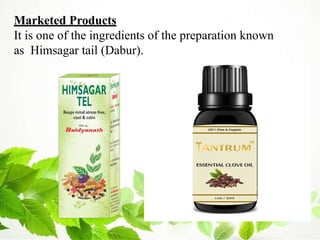 Marketed Products
It is one of the ingredients of the preparation known
as Himsagar tail (Dabur).
 
