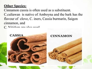 Other Species:
Cinnamon cassia is often used as a substituent.
C.culiawan is native of Amboyna and the bark has the
flavour of clove, C. iners, Cassia burmarin, Saigon
cinnamon, and
C. Nitidum are also used.
 
