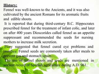 History:
Fennel was well-known to the Ancients, and it was also
cultivated by the ancient Romans for its aromatic fruits
and edible shoots.
It is reported that during third-century B.C. Hippocrates
prescribed fennel for the treatment of infant colic, and later
on after 400 years Dioscorides called fennel as an appetite
suppressant and recommended the seeds for nursing
mothers to increase milk secretion.
Pliny suggested that fennel cured eye problems and
jaundice. Fennel seeds are commonly taken after meals to
prevent gas and stomach upset.
The use of fennel shoots and seeds are mentioned in
ancient record of Spanish agriculture dating A.D. 961.
 