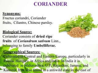 CORIANDER
Synonyms:
Fructus coriandri, Coriander
fruits, Cilantro, Chinese parsley.
Biological Source:
Coriander consists of dried ripe
fruits of Coriandrum sativum Linn.,
belonging to family Umbelliferae.
Geographical Sources:
Cultivated in Central and Eastern Europe, particularly in
Russia, Hungary, in Africa and India. In India it is
cultivated in Maharashtra, U.P., Rajasthan, Jammu, and
Kashmir. It is also found in a antiwild state in the east of
 