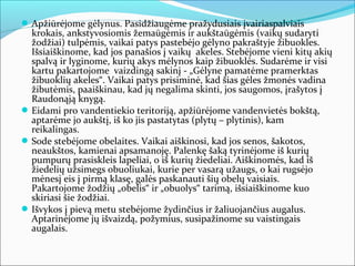  Apžiūrėjome gėlynus. Pasidžiaugėme pražydusiais įvairiaspalviais
  krokais, ankstyvosiomis žemaūgėmis ir aukštaūgėmis (vaikų sudaryti
  žodžiai) tulpėmis, vaikai patys pastebėjo gėlyno pakraštyje žibuokles.
  Išsiaiškinome, kad jos panašios į vaikų akeles. Stebėjome vieni kitų akių
  spalvą ir lyginome, kurių akys mėlynos kaip žibuoklės. Sudarėme ir visi
  kartu pakartojome vaizdingą sakinį - „Gėlyne pamatėme pramerktas
  žibuoklių akeles“. Vaikai patys prisiminė, kad šias gėles žmonės vadina
  žibutėmis, paaiškinau, kad jų negalima skinti, jos saugomos, įrašytos į
  Raudonąją knygą.
 Eidami pro vandentiekio teritoriją, apžiūrėjome vandenvietės bokštą,
  aptarėme jo aukštį, iš ko jis pastatytas (plytų – plytinis), kam
  reikalingas.
 Sode stebėjome obelaites. Vaikai aiškinosi, kad jos senos, šakotos,
  neaukštos, kamienai apsamanoję. Palenkę šaką tyrinėjome iš kurių
  pumpurų prasiskleis lapeliai, o iš kurių žiedeliai. Aiškinomės, kad iš
  žiedelių užsimegs obuoliukai, kurie per vasarą užaugs, o kai rugsėjo
  mėnesį eis į pirmą klasę, galės paskanauti šių obelų vaisiais.
  Pakartojome žodžių „obelis“ ir „obuolys“ tarimą, išsiaiškinome kuo
  skiriasi šie žodžiai.
 Išvykos į pievą metu stebėjome žydinčius ir žaliuojančius augalus.
  Aptarinėjome jų išvaizdą, požymius, susipažinome su vaistingais
  augalais.
 