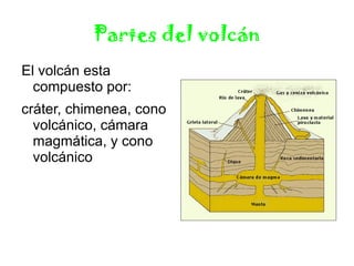 Partes del volcán El volcán esta compuesto por:
