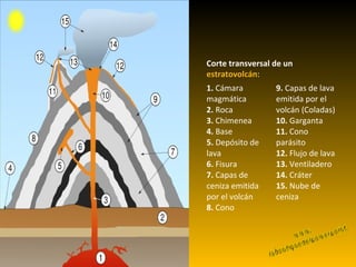 www. laboutiquedelpowerpoint. com Corte transversal de un  estratovolcán : 1.  Cámara magmática 2.  Roca 3.  Chimenea 4.  Base 5.  Depósito de lava 6.  Fisura 7.  Capas de ceniza emitida por el volcán 8.  Cono 9.  Capas de lava emitida por el volcán (Coladas) 10.  Garganta 11.  Cono parásito 12.  Flujo de lava 13.  Ventiladero 14.  Cráter 15.  Nube de ceniza 