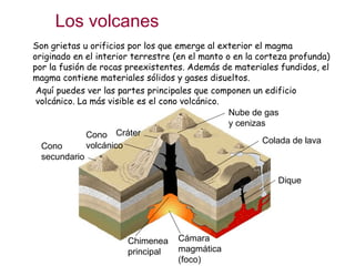 Los volcanes Son grietas u orificios por los que emerge al exterior el magma originado en el interior terrestre (en el manto o en la corteza profunda) por la fusión de rocas preexistentes. Además de materiales fundidos, el magma contiene materiales sólidos y gases disueltos. Aquí puedes ver las partes principales que componen un edificio volcánico. La más visible es el cono volcánico. Cono volcánico Cráter Cámara magmática (foco) Chimenea principal Dique Nube de gas y cenizas Cono secundario Colada de lava 