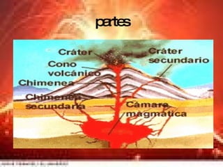 partes 