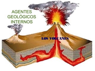 AGENTES
GEOLÓGICOS
INTERNOS
LOS VOLCANES
 