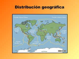 Distribución geográfica 