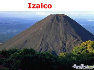 Izalco
 