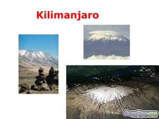 Kilimanjaro
 