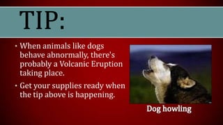 • When animals like dogs
behave abnormally, there's
probably a Volcanic Eruption
taking place.
• Get your supplies ready when
the tip above is happening.
 