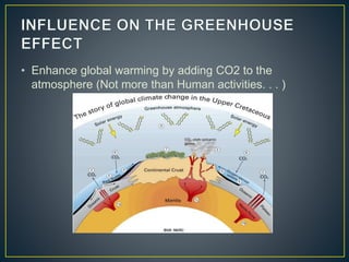 Volcanic gases and climatic effects | PPTX