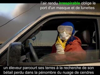 un éleveur parcourt ses terres à la recherche de son bétail perdu dans la pénombre du nuage de cendres l’air rendu  irrespirable  oblige le port d'un masque et de lunettes  