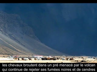 les chevaux broutent dans un pré menacé par le volcan qui continue de rejeter ses fumées noires et de cendres 