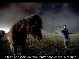 un fermier essaie de faire rentrer son cheval à l'écurie 