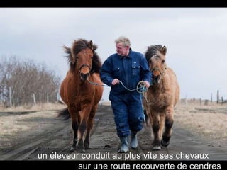 un éleveur conduit au plus vite ses chevaux  sur une route recouverte de cendres 