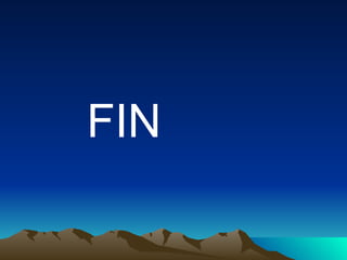 FIN 