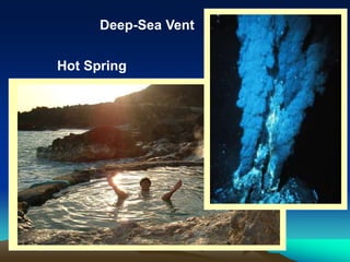 Hot Spring
Deep-Sea Vent
 