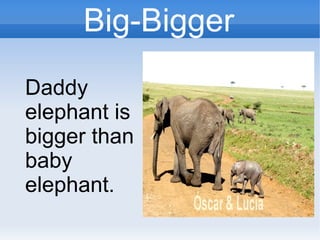Big-Bigger
Daddy
elephant is
bigger than
baby
elephant.