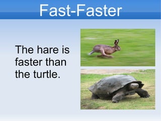 Fast-Faster
The hare is
faster than
the turtle.