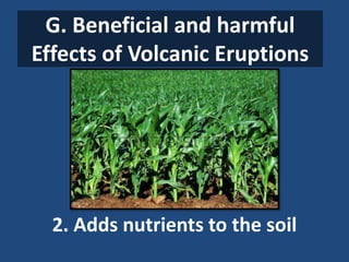 G. Beneficial and harmful
Effects of Volcanic Eruptions
2. Adds nutrients to the soil
 