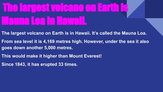 The largest volcano on Earth is
Mauna Loa in Hawaii.
The largest volcano on Earth is in Hawaii. It’s called the Mauna Loa.
From sea level it is 4,169 metres high. However, under the sea it also
goes down another 5,000 metres.
This would make it higher than Mount Everest!
Since 1843, it has erupted 33 times.
 